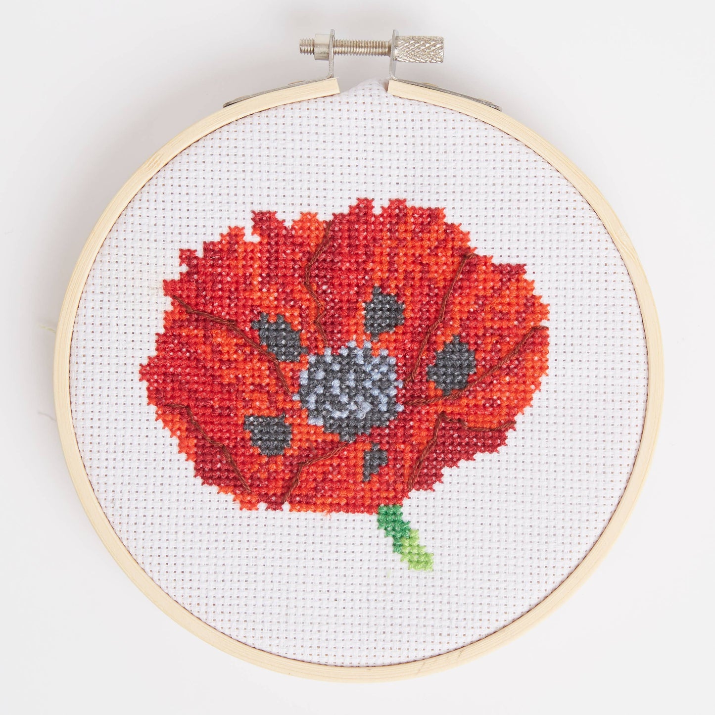 Royal Horticultural Society Cross Stitch, Poppy, 14cm