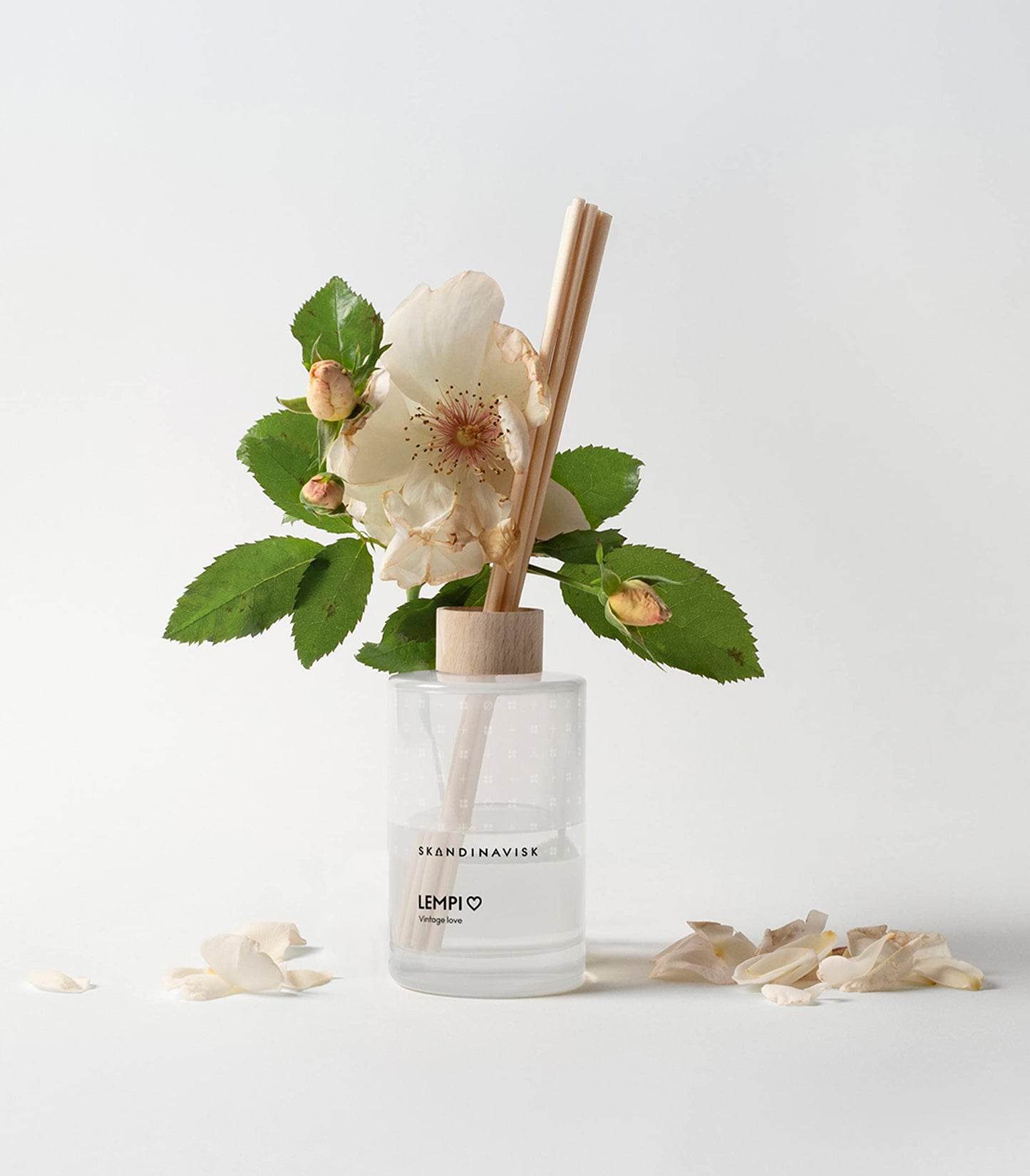 Skandinavisk HYGGE ‘Cosiness’ Reed diffuser with 8 Reeds, Lasts +3 Months, Scent Notes: Black tea and mint leaves, dried apples and baked cinnamon, 100 ml