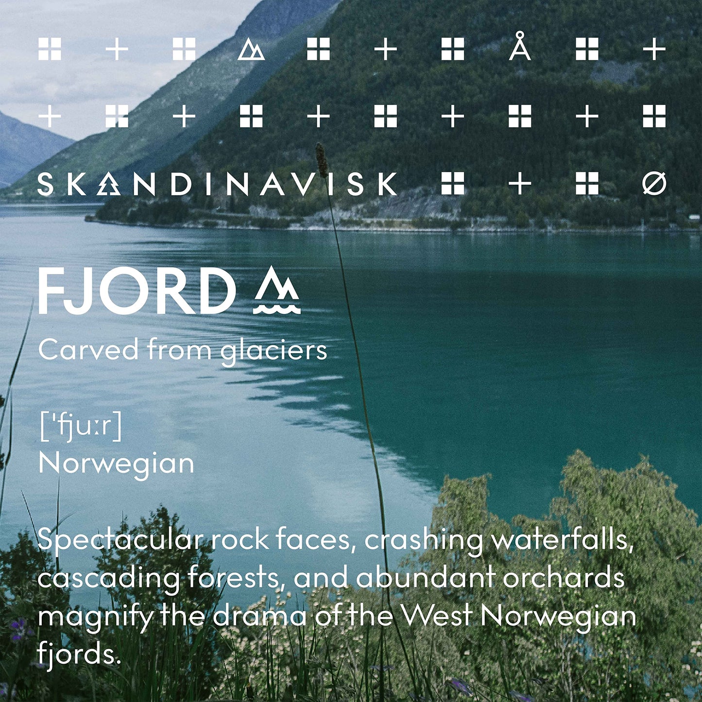 Skandinavisk HYGGE ‘Cosiness’ Reed diffuser with 8 Reeds, Lasts +3 Months, Scent Notes: Black tea and mint leaves, dried apples and baked cinnamon, 100 ml