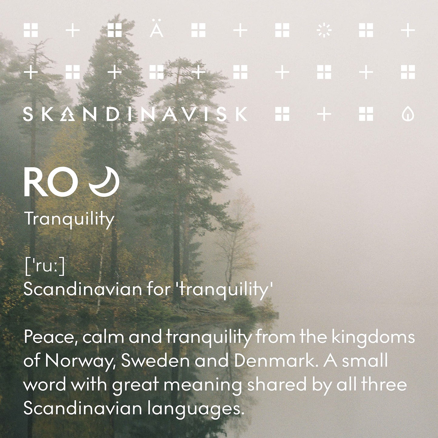 Skandinavisk HYGGE ‘Cosiness’ Reed diffuser with 8 Reeds, Lasts +3 Months, Scent Notes: Black tea and mint leaves, dried apples and baked cinnamon, 100 ml