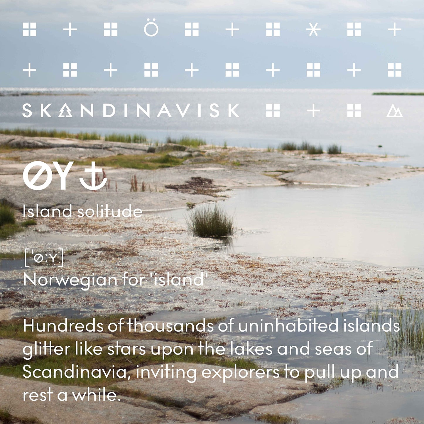 Skandinavisk HYGGE ‘Cosiness’ Reed diffuser with 8 Reeds, Lasts +3 Months, Scent Notes: Black tea and mint leaves, dried apples and baked cinnamon, 100 ml