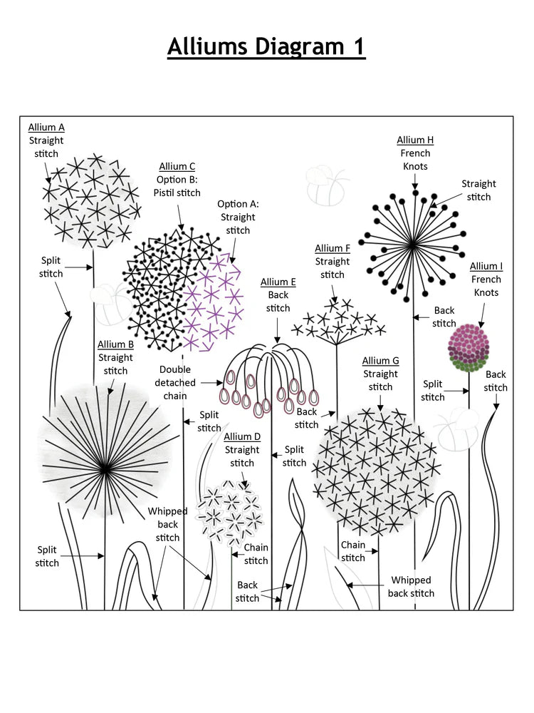Alliums Hand Embroidery Kit Beaks and Bobbins