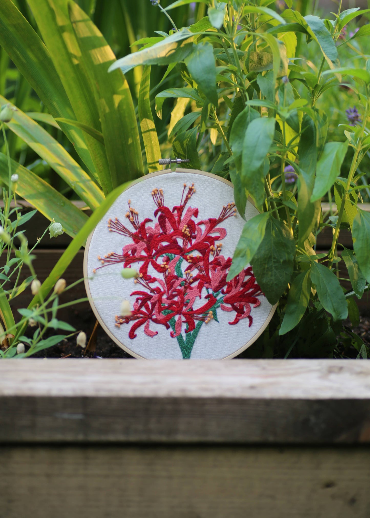 Royal Horticultural Society Embroidery Hoop, Guernsey Lily