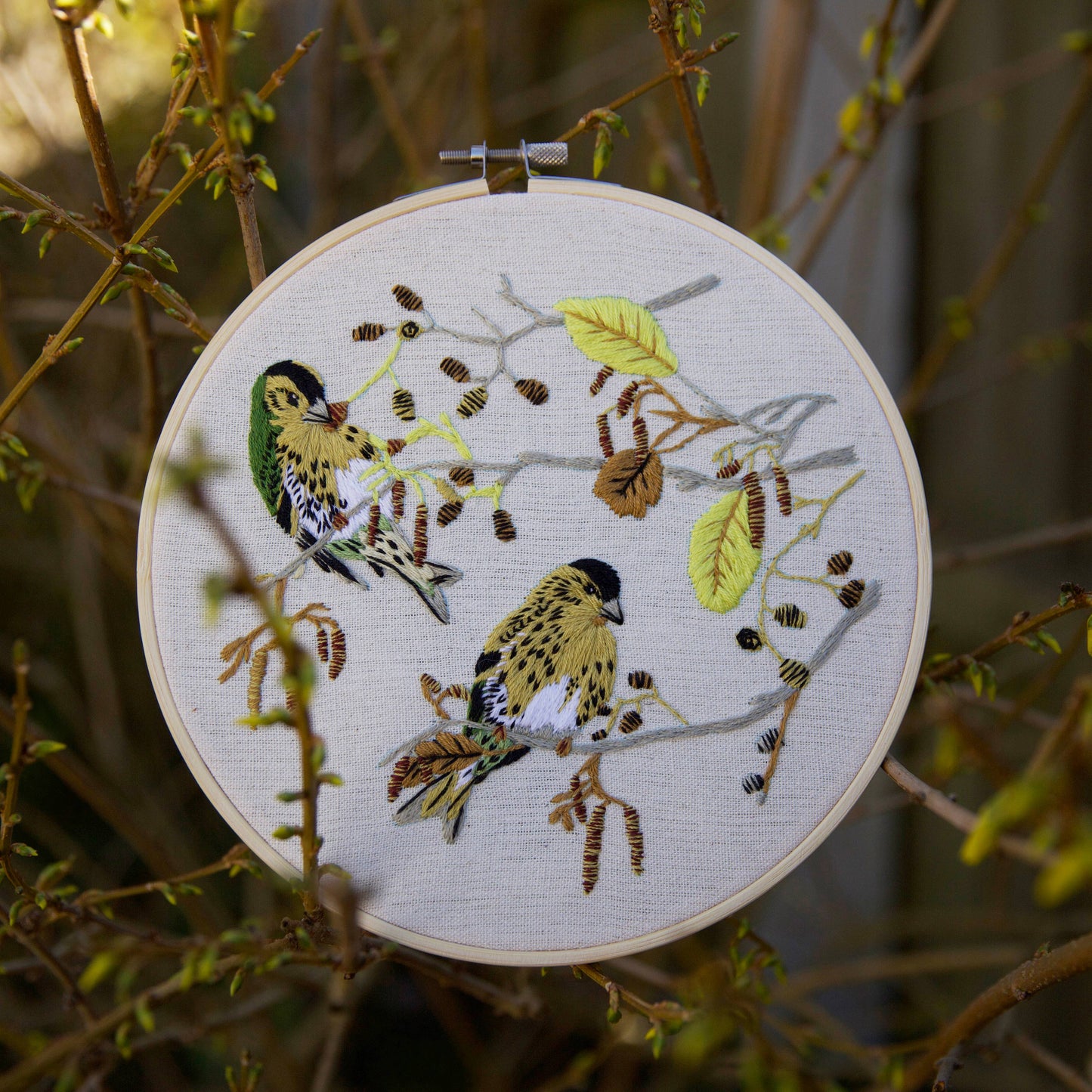 Natural History Museum Embroidery Hoop Kit, Siskins 8"