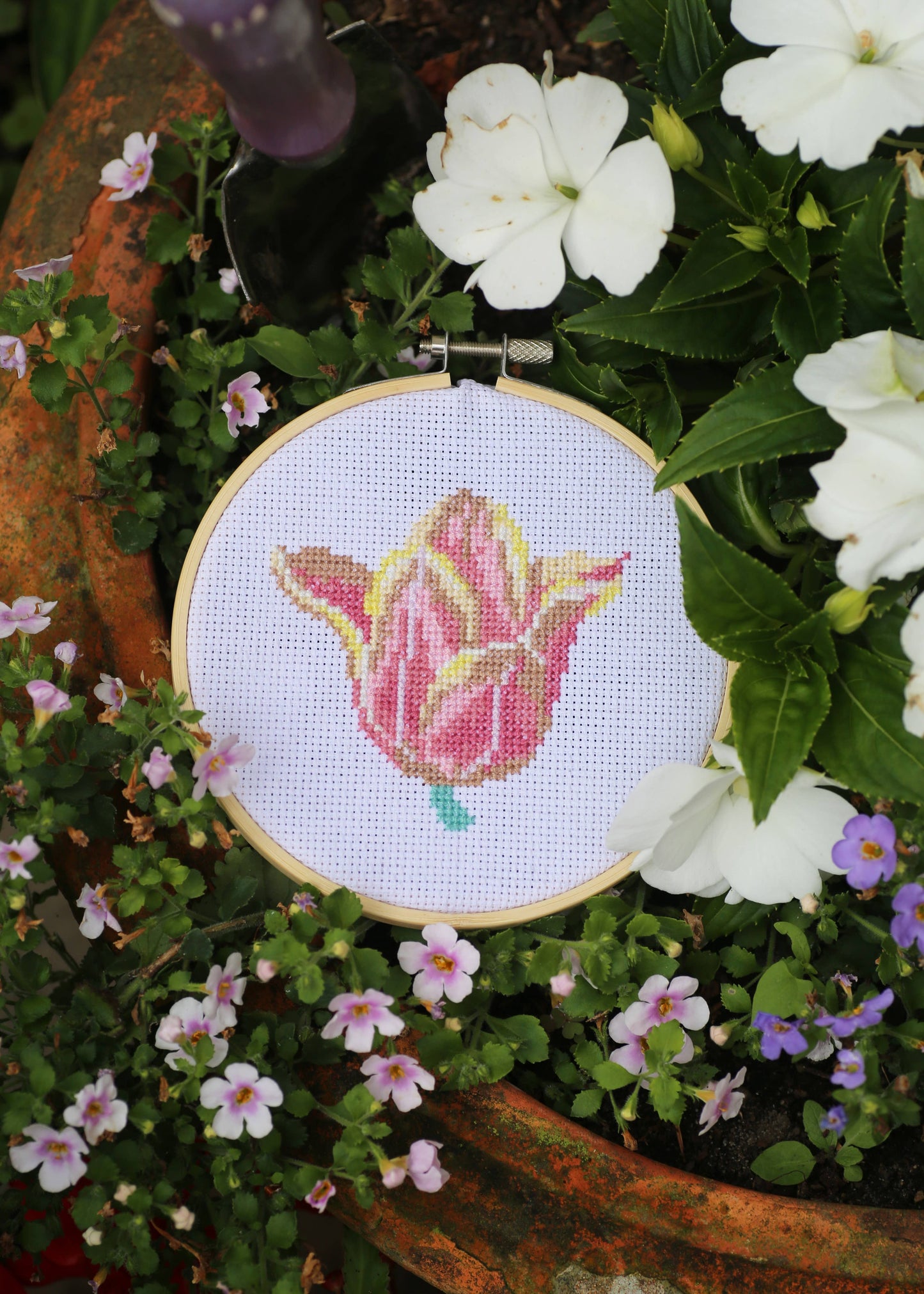 Royal Horticultural Society Cross Stitch, Tulip, 14cm