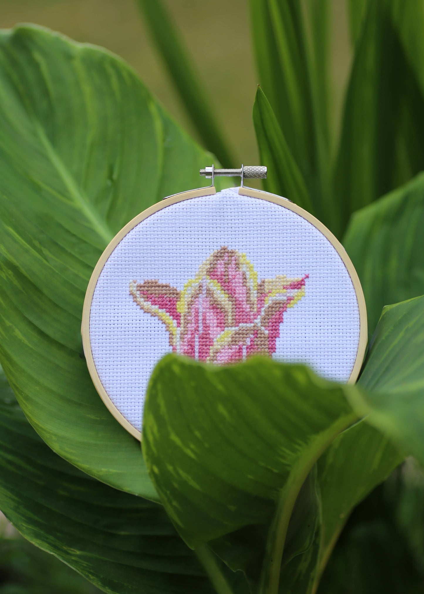 Royal Horticultural Society Cross Stitch, Tulip, 14cm