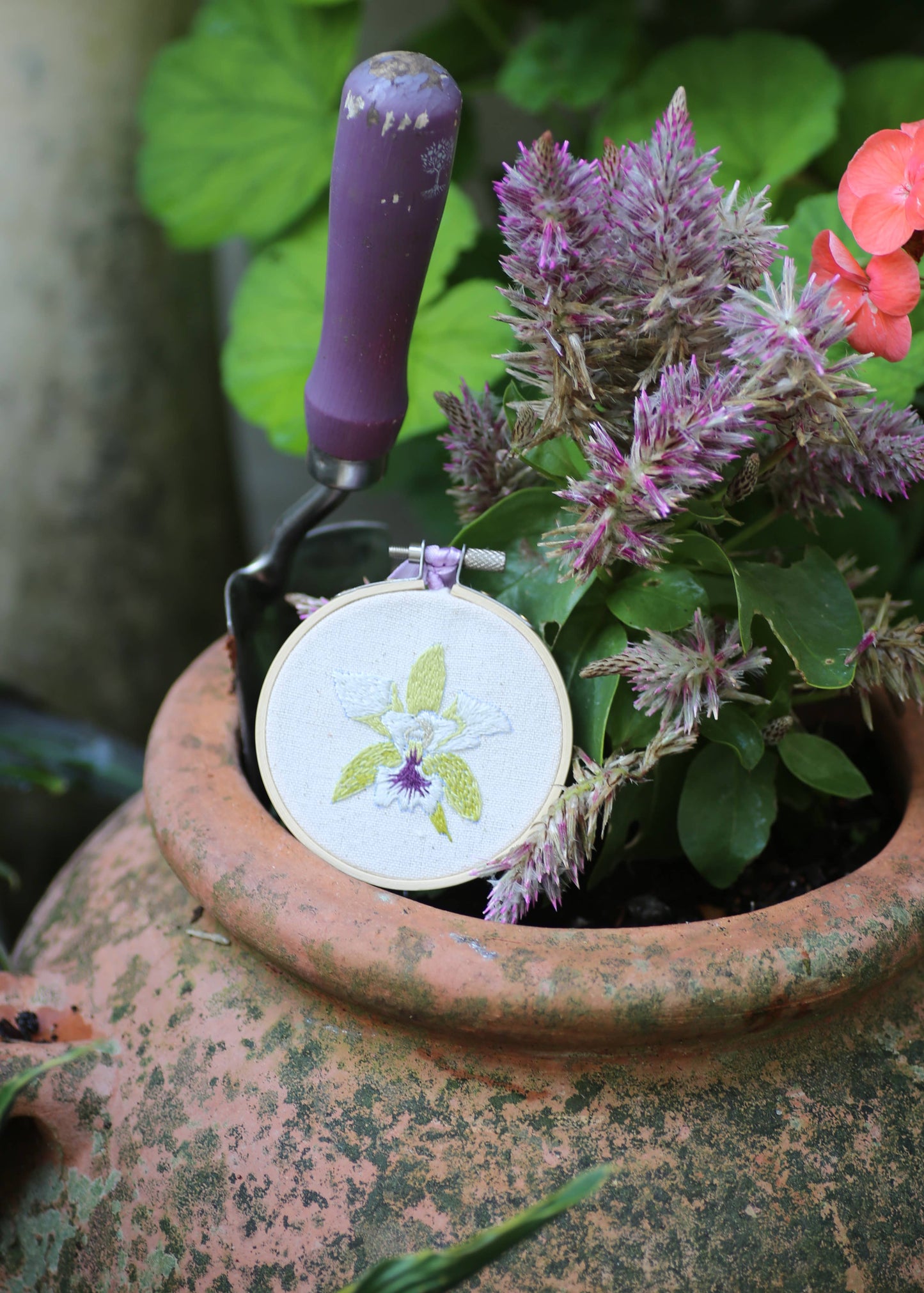 Royal Horticultural Society Embroidery Hoop Kit, Orchids
