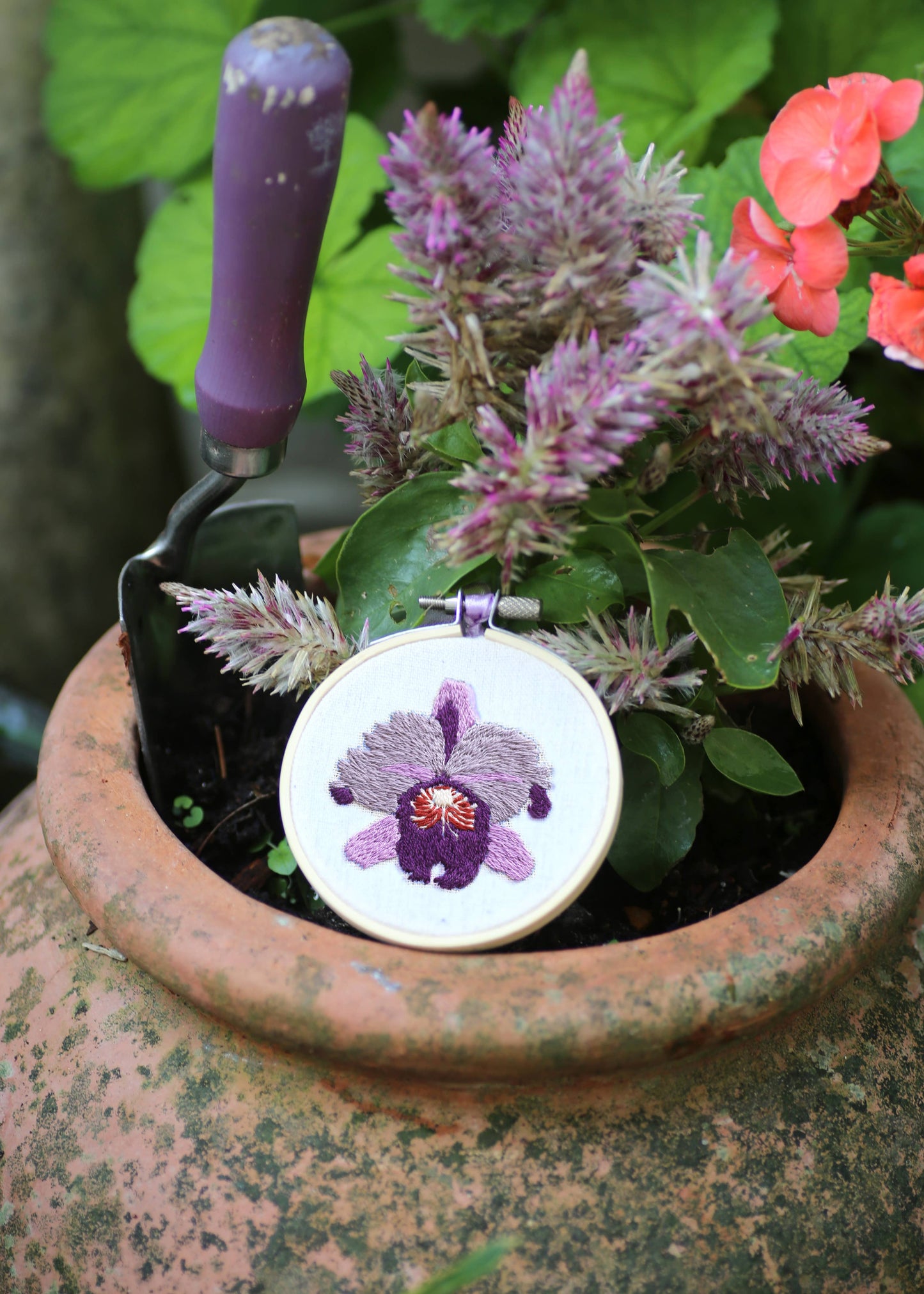 Royal Horticultural Society Embroidery Hoop Kit, Orchids