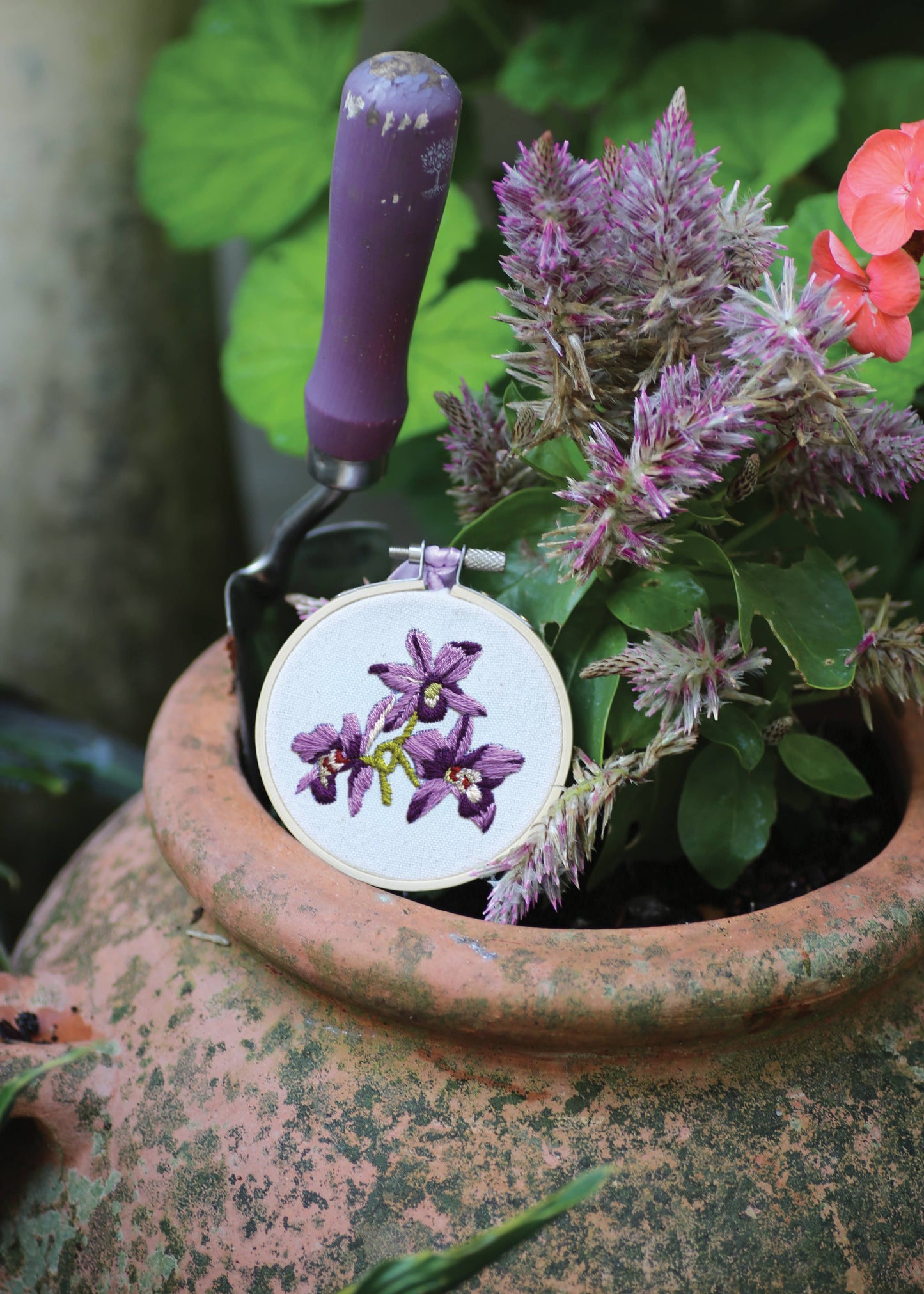 Royal Horticultural Society Embroidery Hoop Kit, Orchids